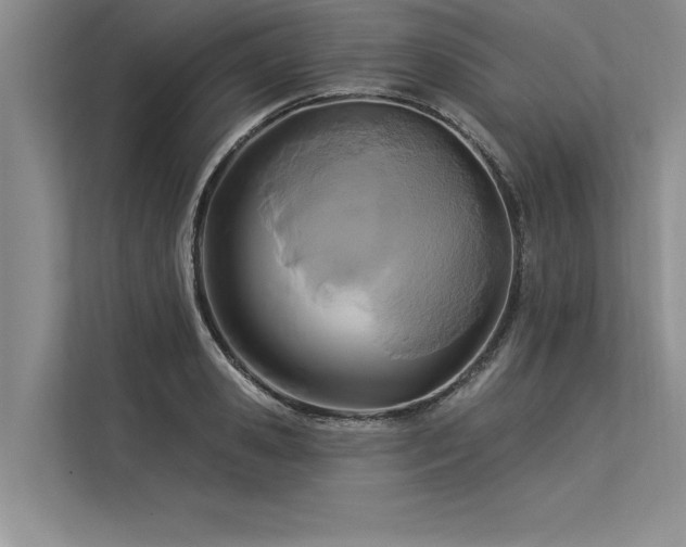 X0000113300941200909211118