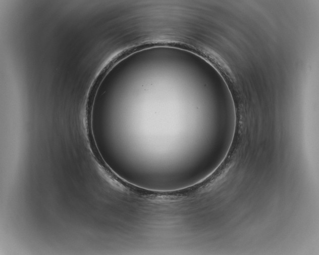 X0000113300942200909211118