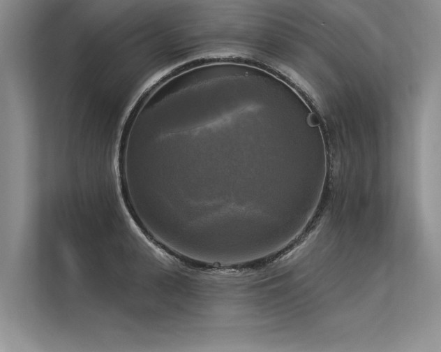 X0000113300943200909211118