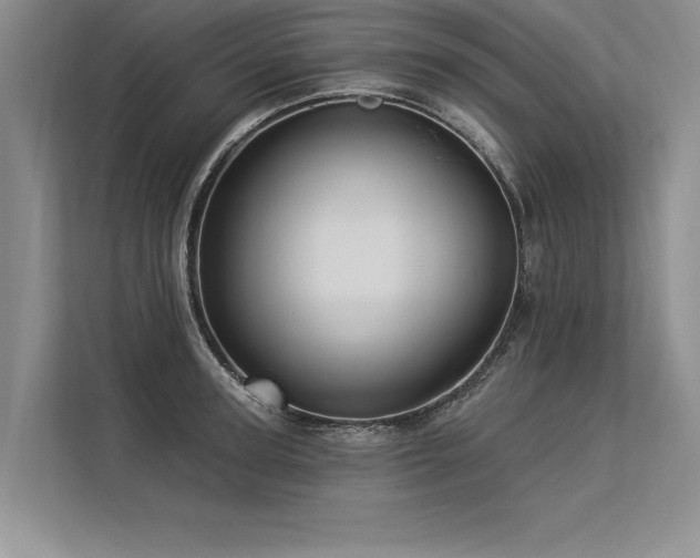 X0000113300947200909211118