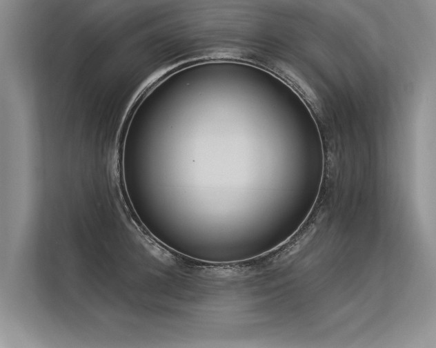 X0000113300948200909211118