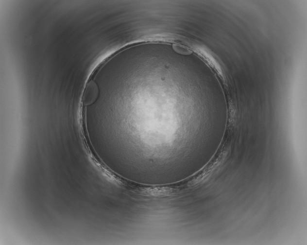 X0000113300952200909211118