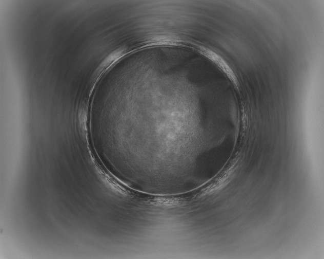 X0000113300954200909211118