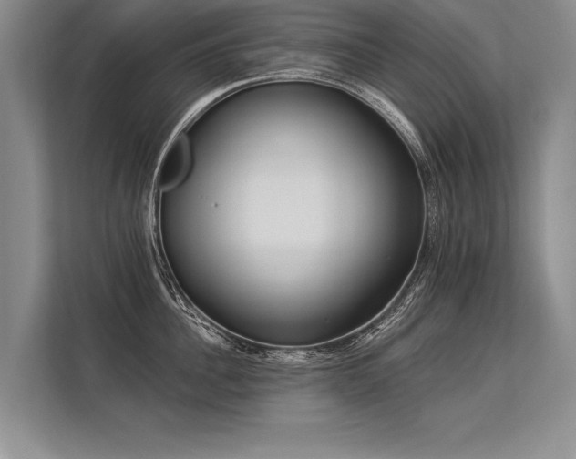 X0000113300956200909211118