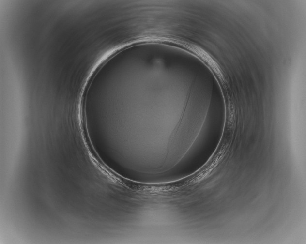 X0000113300958200909211118