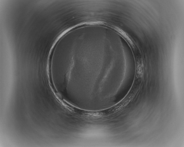 X0000113300959200909211118