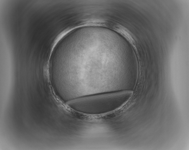 X0000113300960200909211118