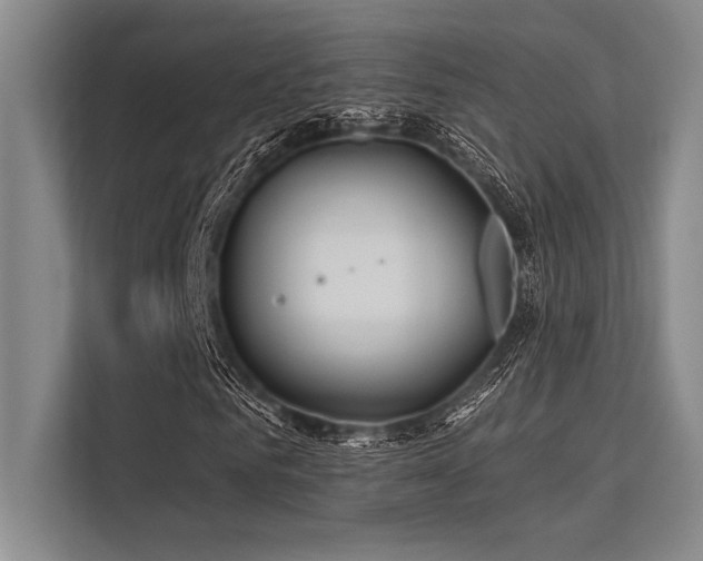 X0000113300961200909211118