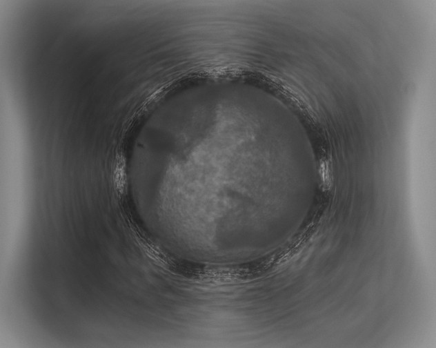 X0000113300963200909211118