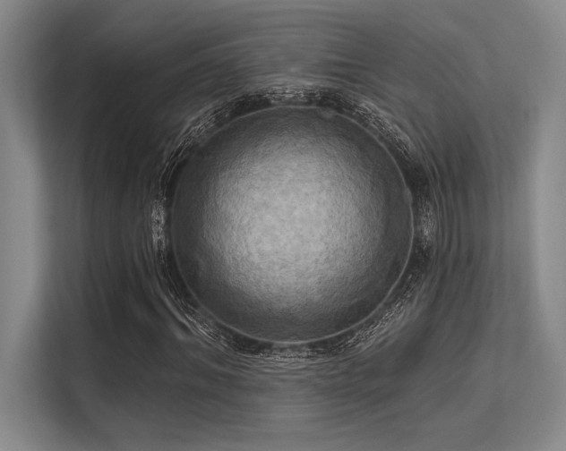 X0000113300964200909211118