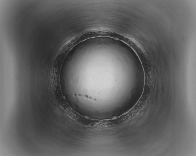 X0000113300967200909211118