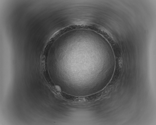 X0000113300968200909211118