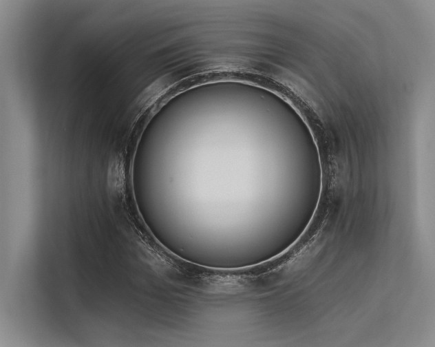 X0000113300969200909211118