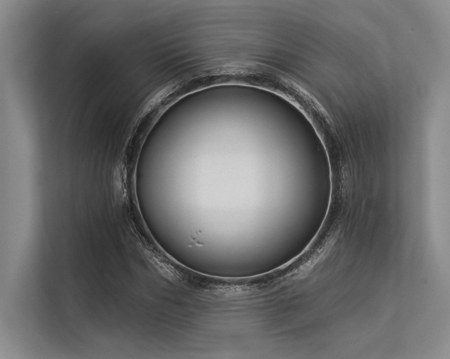 X0000113300970200909211118