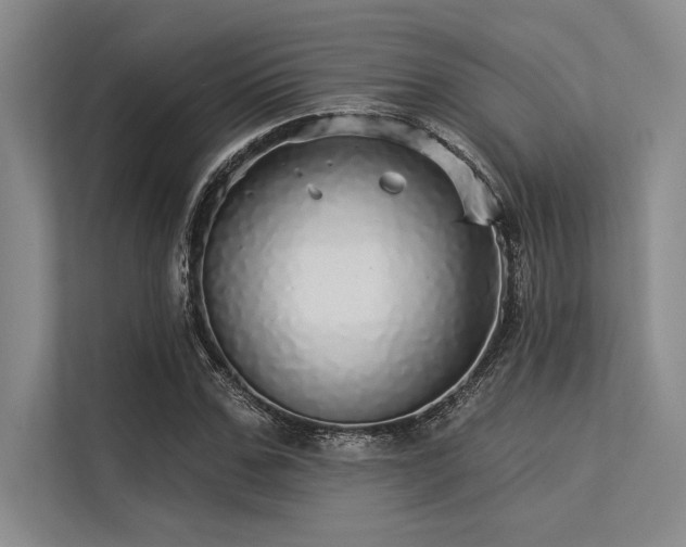 X0000113300971200909211118