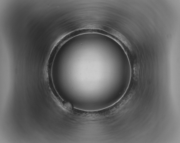 X0000113300972200909211118