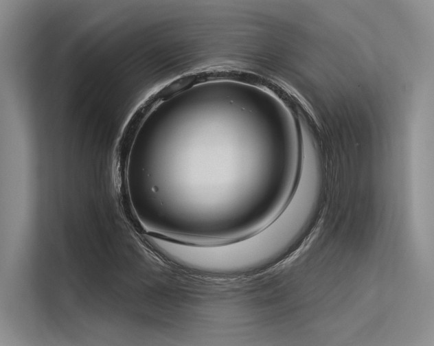 X0000113300973200909211117