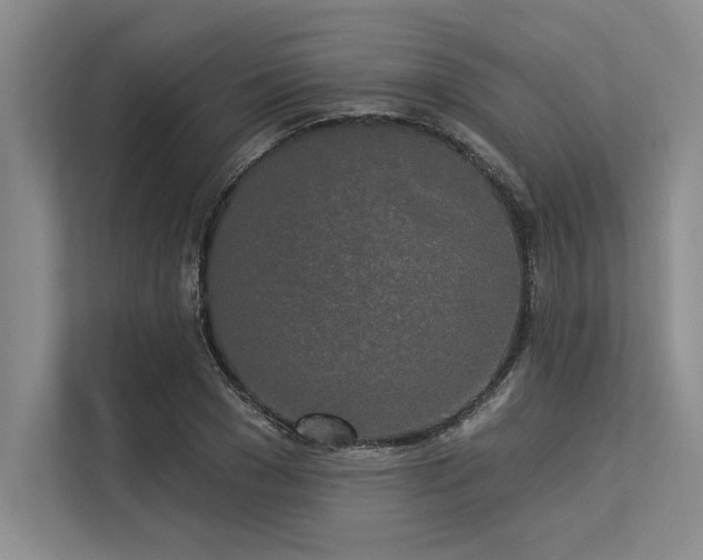 X0000113300977200909211117