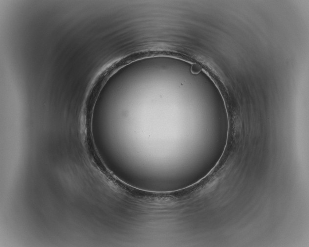 X0000113300979200909211117