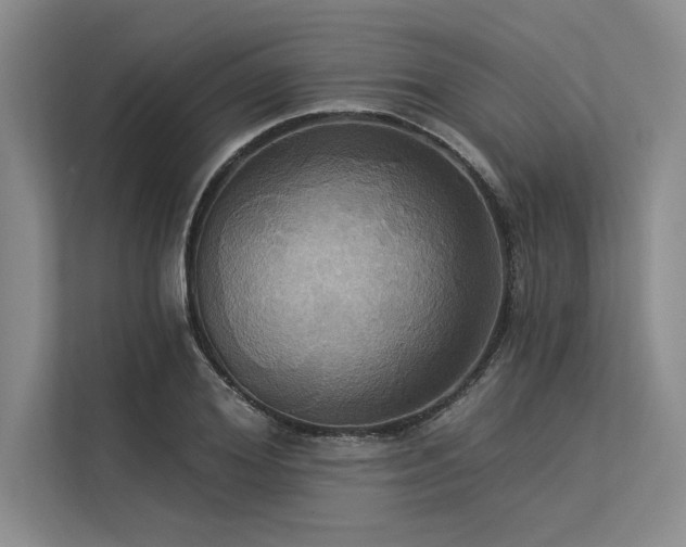 X0000113300980200909211117