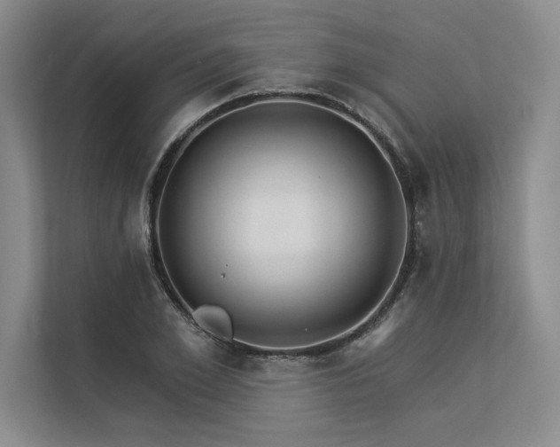 X0000113300981200909211117