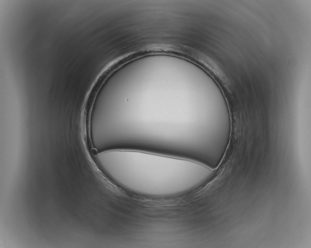 X0000113300984200909211117