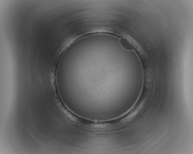 X0000113300985200909211117