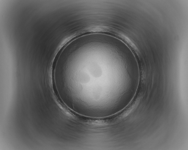 X0000113300986200909211117