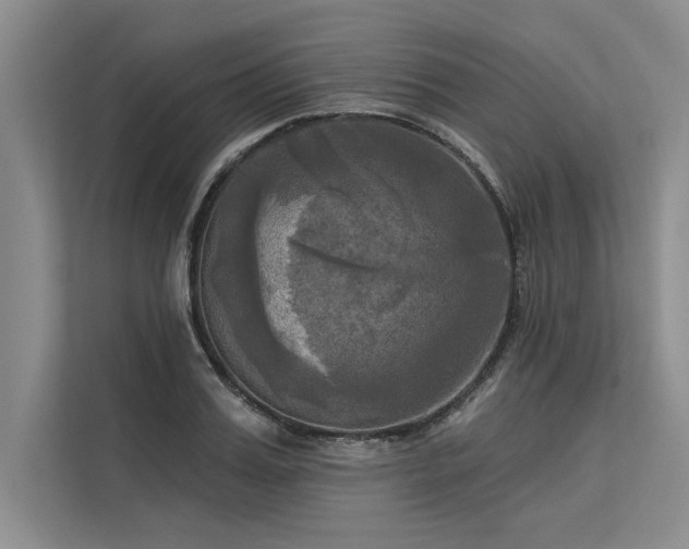 X0000113300987200909211117