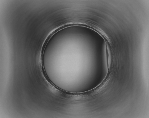 X0000113300988200909211117