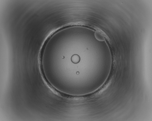 X0000113300989200909211117