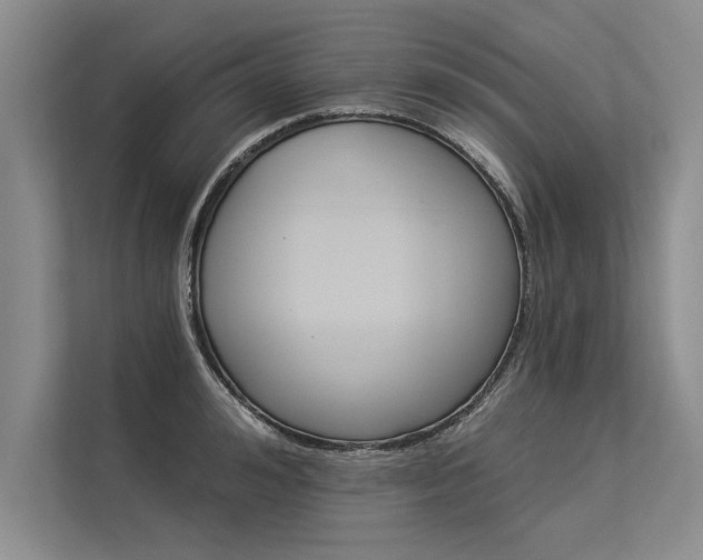 X0000113300992200909211117