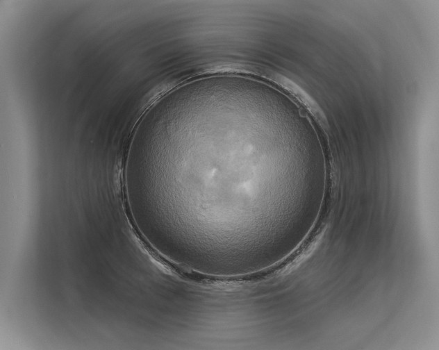 X0000113300993200909211117