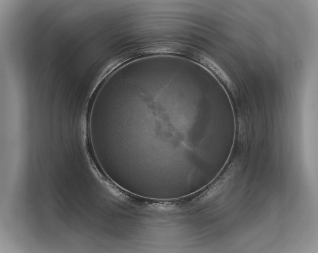 X0000113300994200909211117