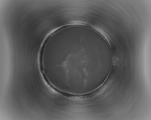 X0000113300995200909211117