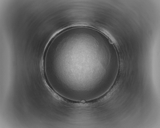 X0000113300996200909211117