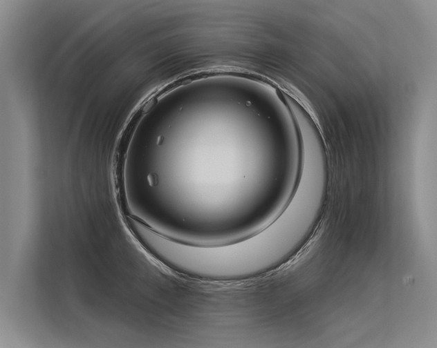 X0000113300997200909211117