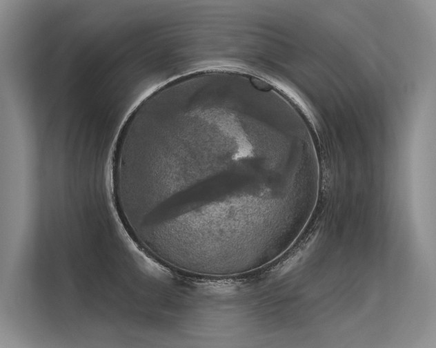 X0000113300999200909211117