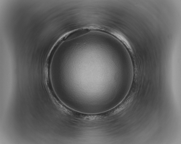 X0000113301000200909211117