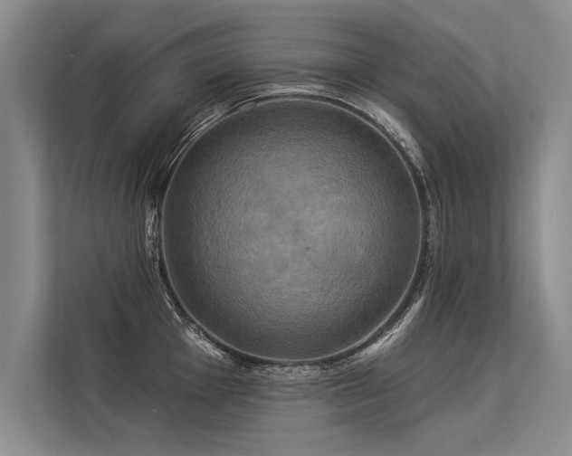 X0000113301001200909211117