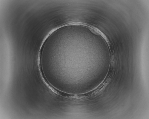 X0000113301005200909211117