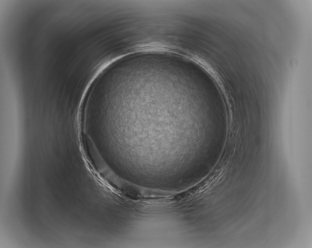 X0000113301008200909211117