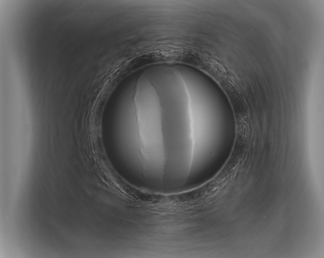 X0000113301009200909211116