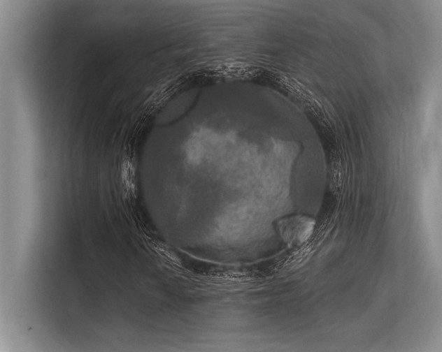 X0000113301010200909211116