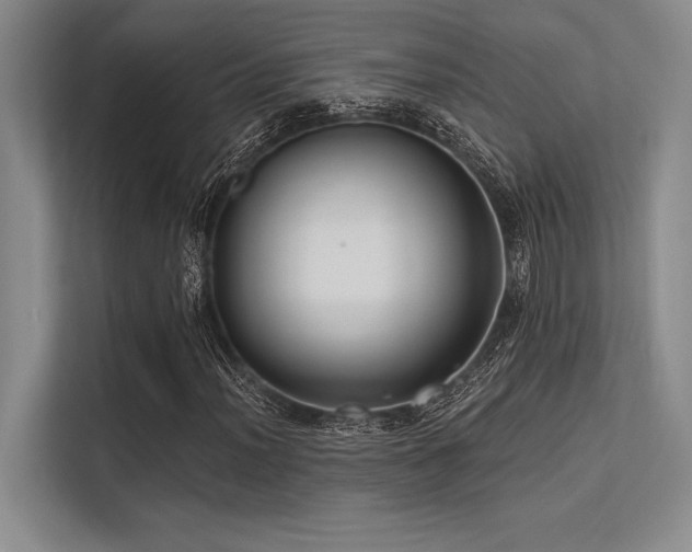 X0000113301012200909211116