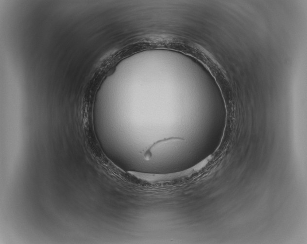 X0000113301016200909211117