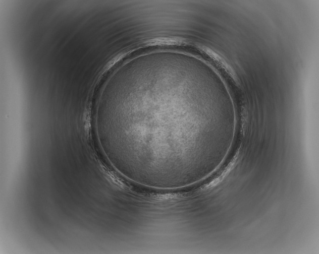 X0000113301017200909211117