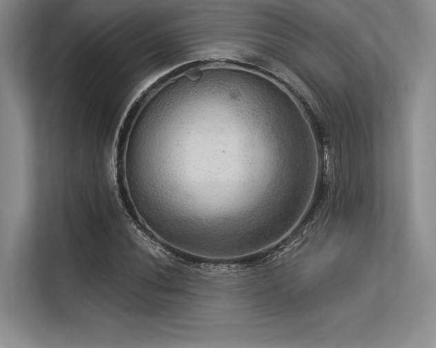 X0000113301020200909211117