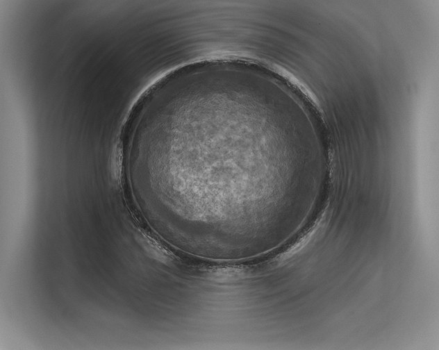 X0000113301021200909211117