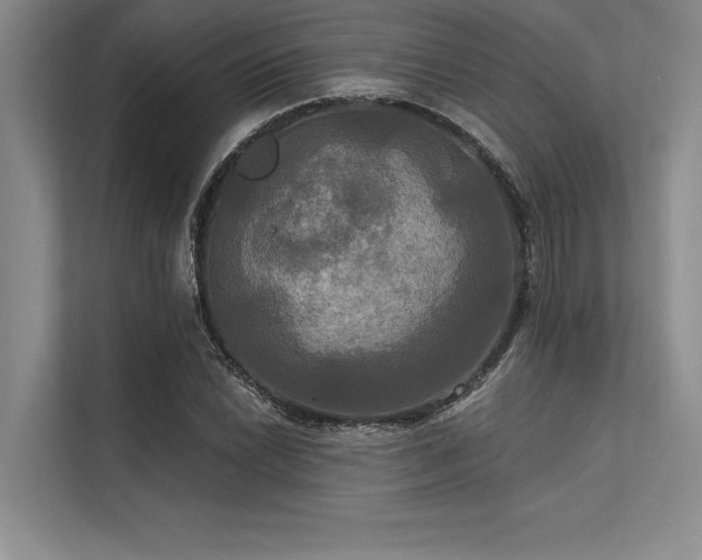 X0000113301022200909211117